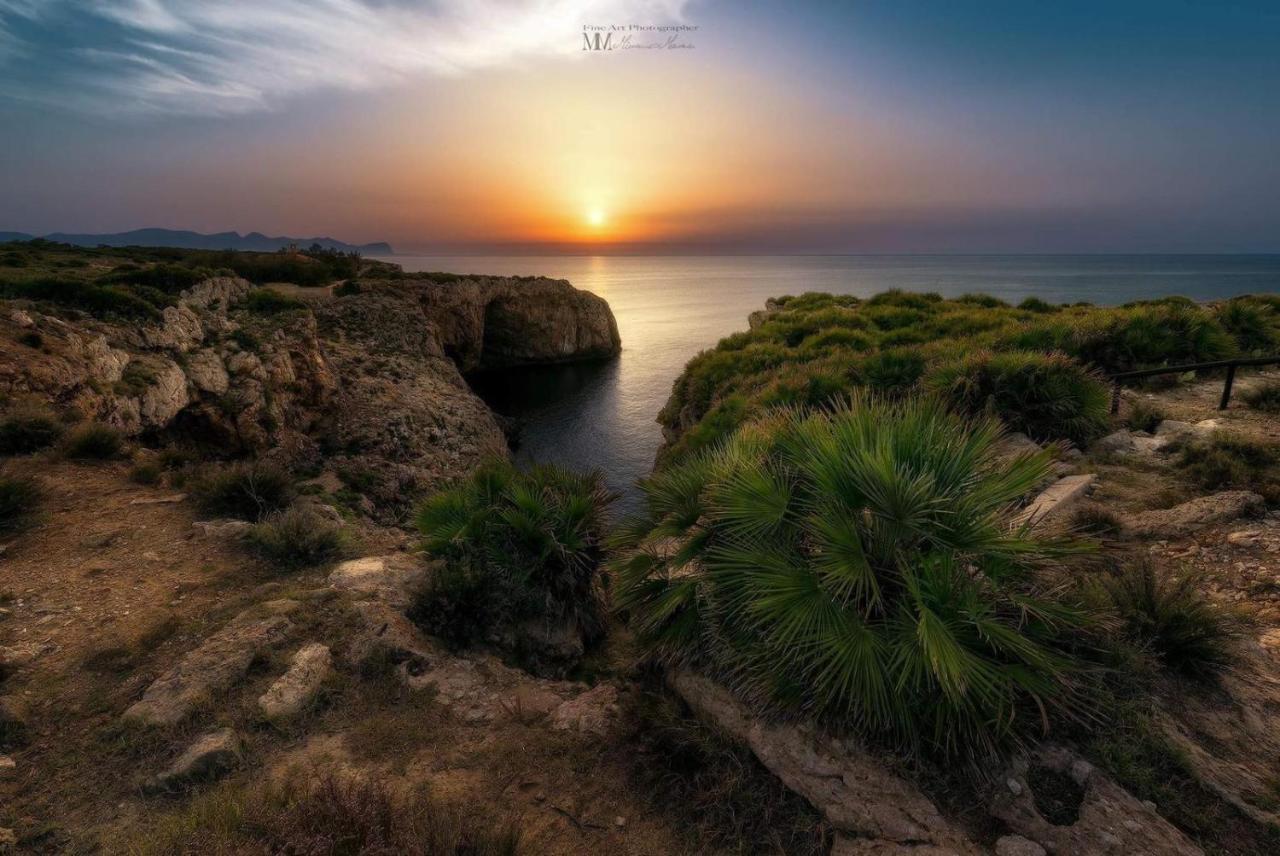 تيراسيني Green Garden المظهر الخارجي الصورة